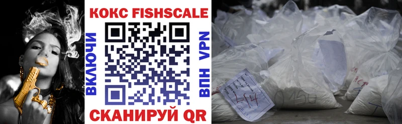Cocaine FishScale  hydra вход  Волгореченск  купить  